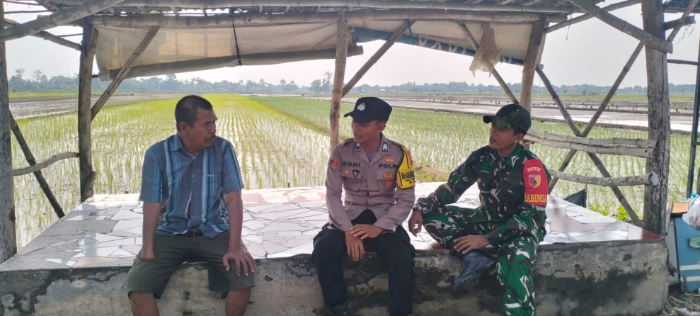 Sertu Hery Sutikno Dukung Ketahanan Pangan Melalui Komsos dengan Petani di Desa Bedahlawak