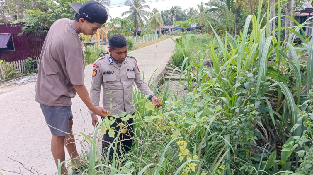 Sinergi Polisi Dan Petani di Enok Dorong Ketahanan Pangan