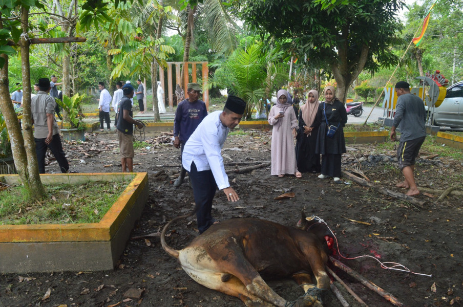 Diskominfopers Kab. Inhil Sembelih 3 ekor Hewan Qurban