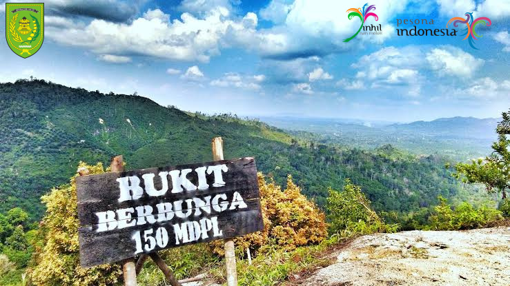 Bukit Berbunga Destinasi Wisata Alam Yang Harus Kamu kunjungi Saat Berada di Kabupaten Inhil
