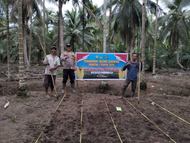 Polsek Tempuling Tanam Jagung Bersama Warga, Wujud Nyata Dukungan Ketahanan Pangan Nasional