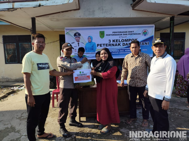 Program Ketahanan Pangan, Pemdes Limau Manis Salurkan Bibit Ikan