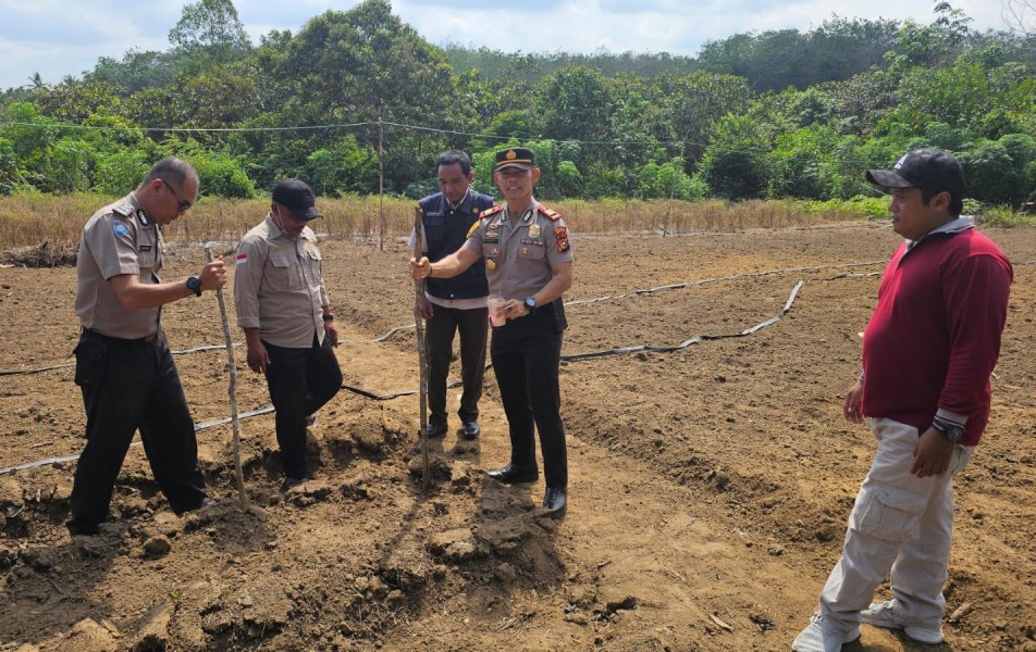 Polsek Lirik Tanam Jagung Pipil Kuartal II di Pasir Ringgit, Dukung Ketahanan Pangan 2026