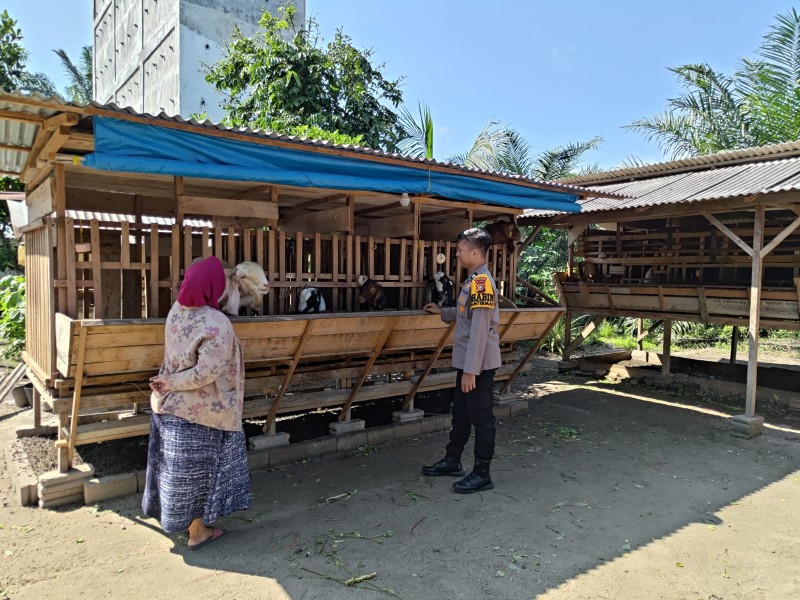 Dorong Ketahanan Pangan, Bhabinkamtibmas Polres Inhu Imbau Peternak Gunakan Manajemen Modern