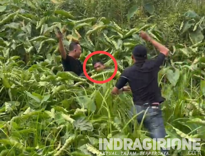 Sempat Kabur ke Semak-Semak, Pengedar Sabu di Inhil Berhasil Diamankan