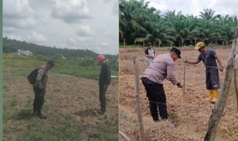 Polres Inhu Cek Lahan Jagung Pipil, Wujudkan Program Polisi Cinta Petani
