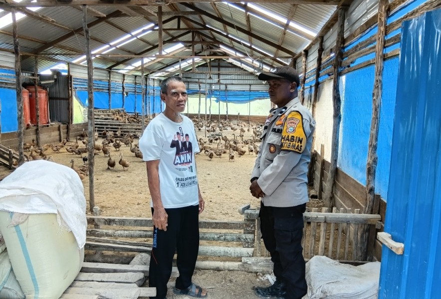 Bhabinkamtibmas Polsek Sungai Batang Dampingi Peternak Bebek Program Ketahanan Pangan Dana BUMDes