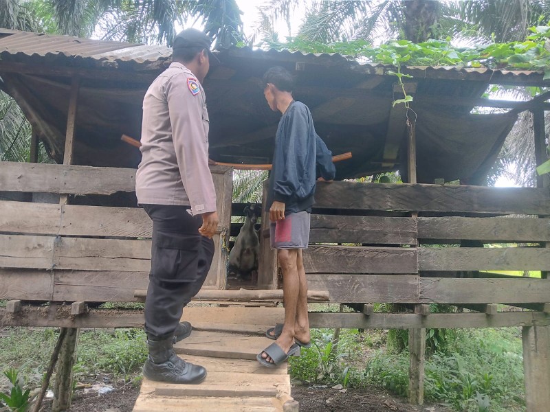 Perkuat Ketahanan Pangan, Bhabinkamtibmas Polsek Kuala Cenaku Sambangi Peternak Kambing di Teluk Sungkai