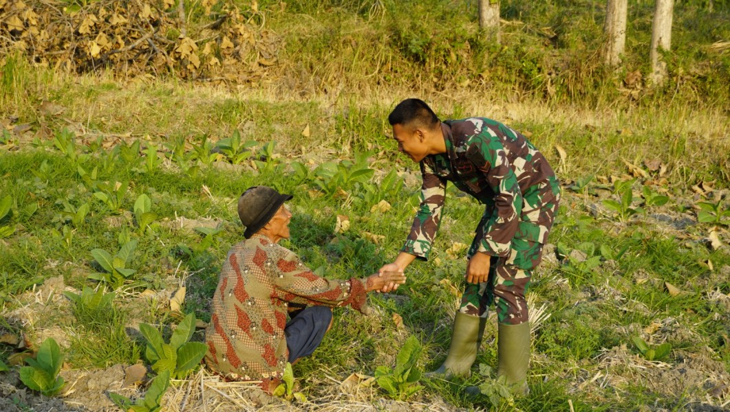 Menyapa dengan Hati di Tengah Ladang: Satgas TMMD 129 Bojonegoro Rajut Kemanunggalan TNI dan Rakyat