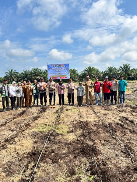 BUMDes Lubuk Besar dan Polsek Kemuning Tanam Jagung 2 Hektare Dukung Swasembada Pangan