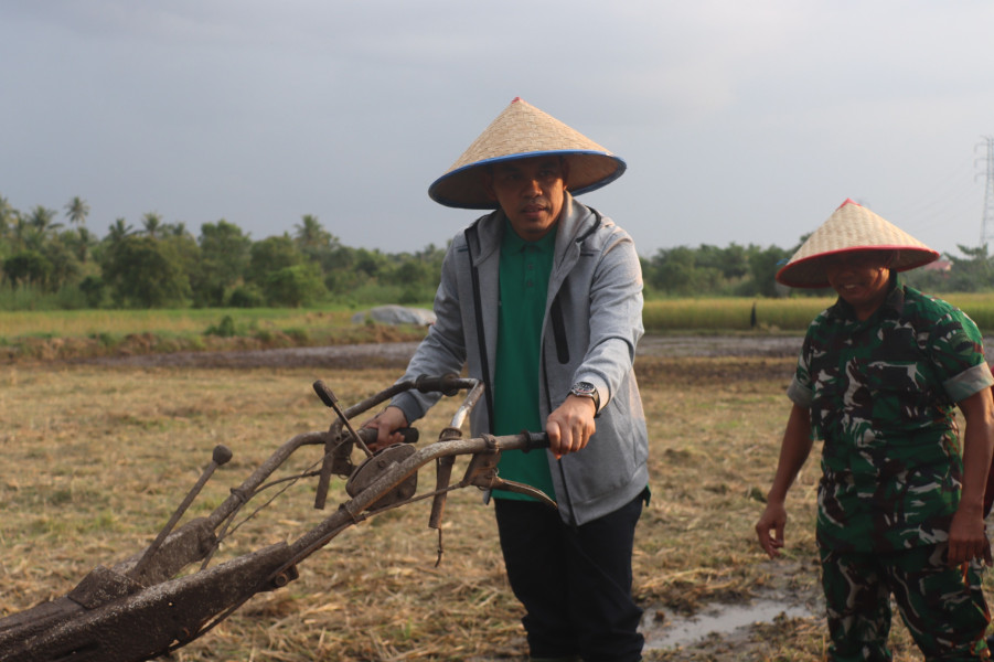 Untuk Mewujudkan Swasembada Pangan, Pj. Bupati Indragiri Hilir Tanam dan Panen Padi Bibit Unggul Lokal