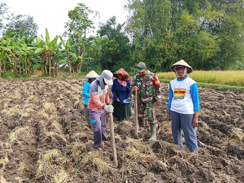 Kopka Sutrisno Bantu Petani Mojoduwur Tanam Jagung