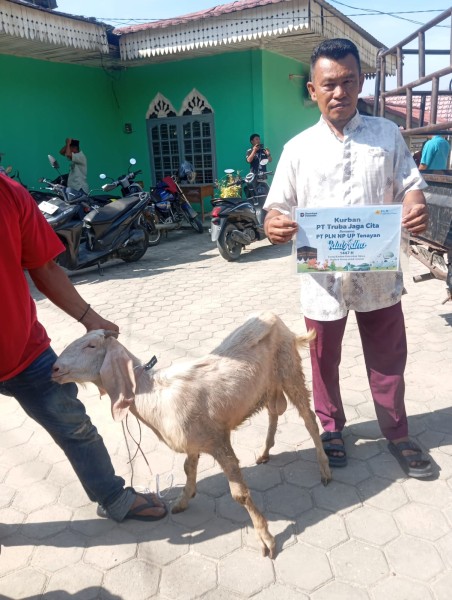Wujud Kepedulian,PLN Nusantara Power UP Tenayan Salurkan 22 Ekor Hewan Kurban
