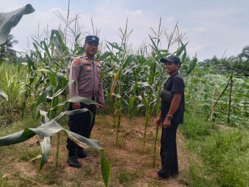Polsek Kuala Cenaku Dorong Petani Optimalkan Lahan Ketahanan Pangan