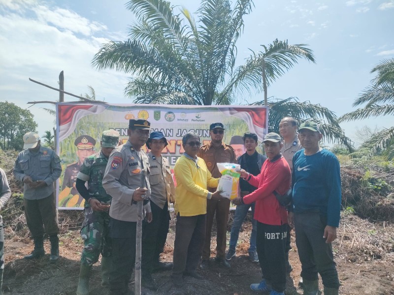 Wujudkan Ketahanan Pangan, Pemdes Lubuk Besar Tanam Jagung