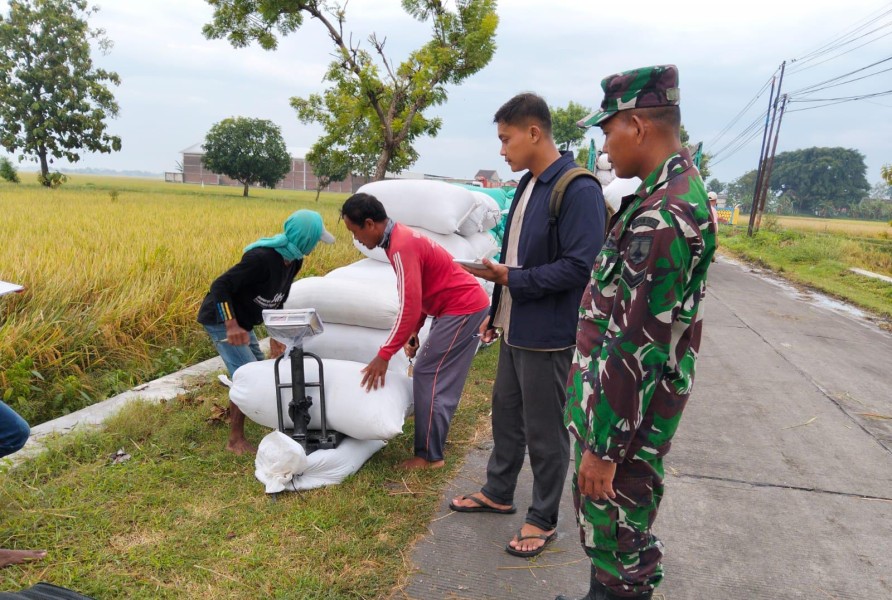 Sertu Anang Sumantri Dampingi Petani