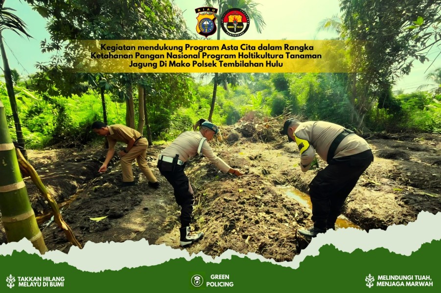 Personel Polsek Tembilahan Hulu Bersihkan Lahan Jagung dari Rumput Liar