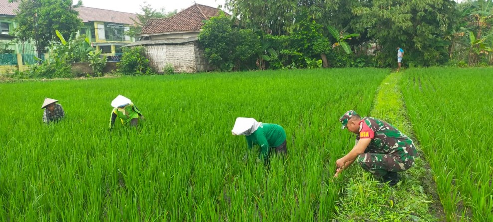 Kopda Duwi Bersinergi Optimalkan Ketahanan Pangan
