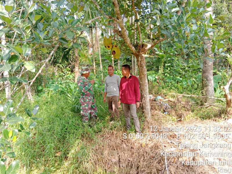 Babinsa Talang Jangkang Bersama Masyarakat Kawal Hutan Kemuning