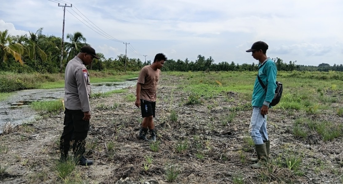 Polri Dampingi Petani, Bhabinkamtibmas Cek Progres Jagung Program Asta Cita di Lahan PT SDS Sungai Batang