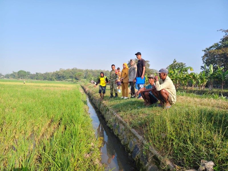 Jaga Produktivitas Pertanian, Babinsa Koramil Tembelang dan Petani Kepuhdoko Gencar Lakukan Gerdal Hama