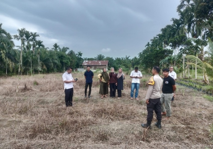 Forkopimdes Limau Manis Pantau Kesiapan Lahan Penanaman Jagung