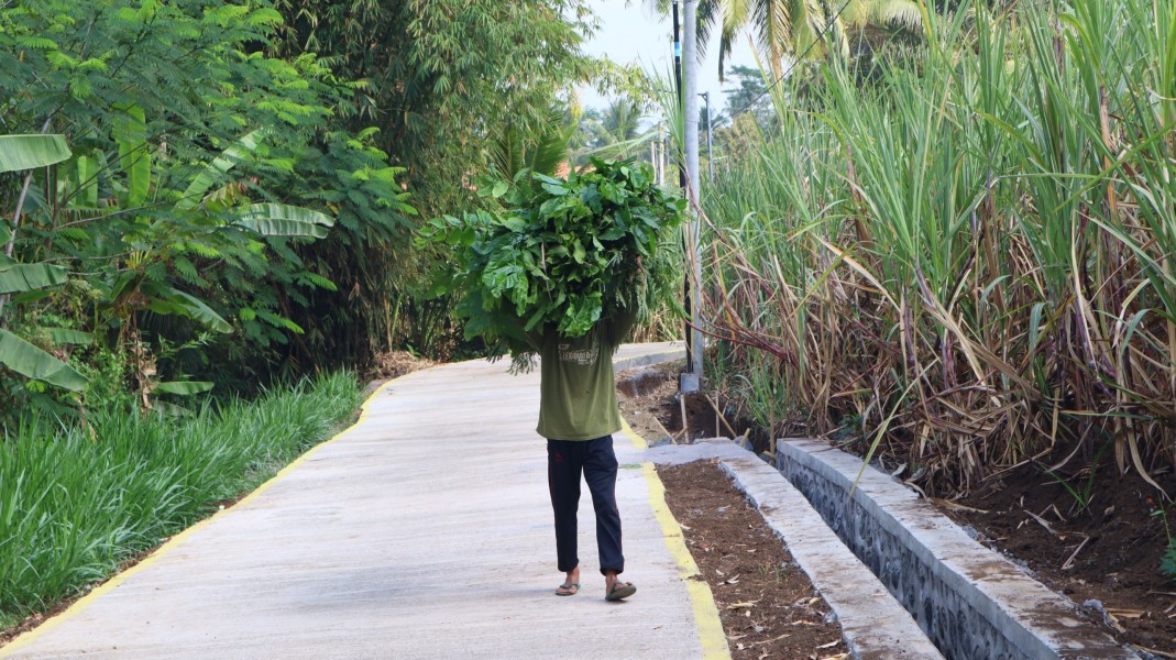Jalan Rabat Beton TMMD Mudahkan Warga Ledok Tempuro Mencari Rumput untuk Ternak