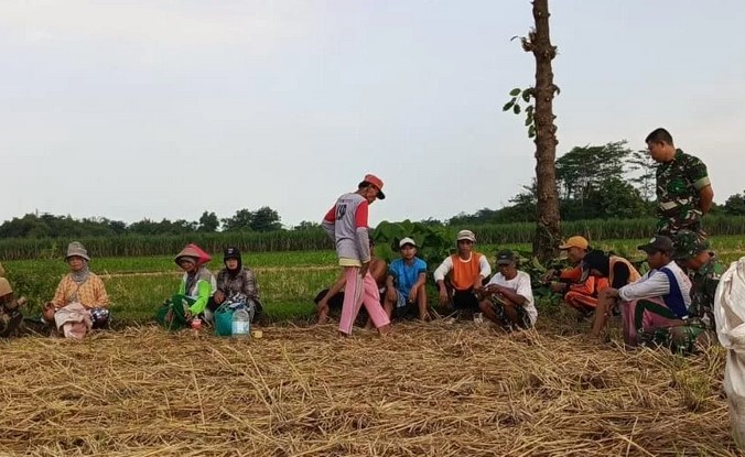 Serda Sumanto Jalin Keakraban dengan Petani Alang-Alang Caruban