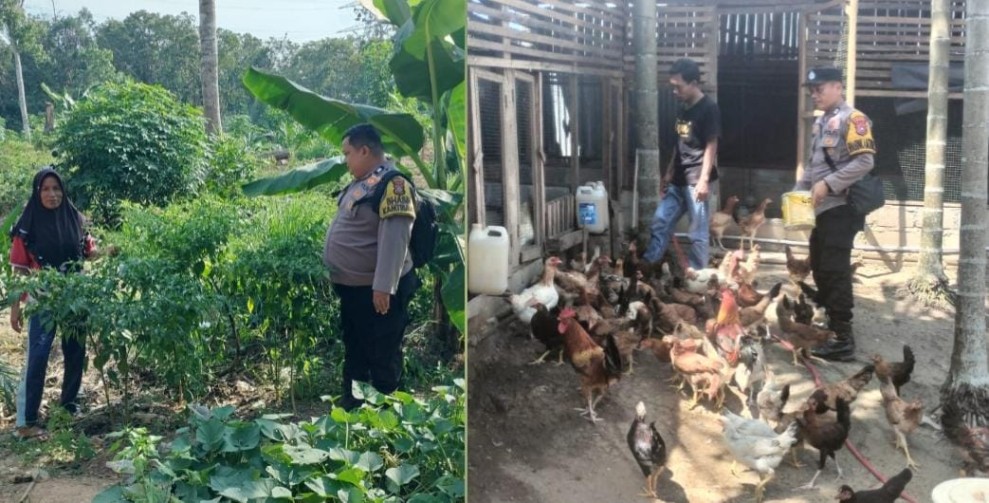 Bhabinkamtibmas Polres Inhu Dampingi Warga Kembangkan Pekarangan Produktif di Seberida dan Pasir Penyu