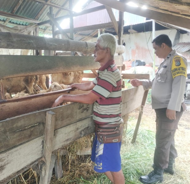 Bhabinkamtibmas Polsek Sungai Batang Masuk Kandang Domba, Pantau Ketahanan Pangan Warga Jelang Idul Adha