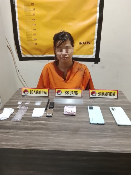 Satresnarkoba Polres Inhil Ungkap Kasus Narkotika, Amankan Pengedar Shabu dan Ekstasi
