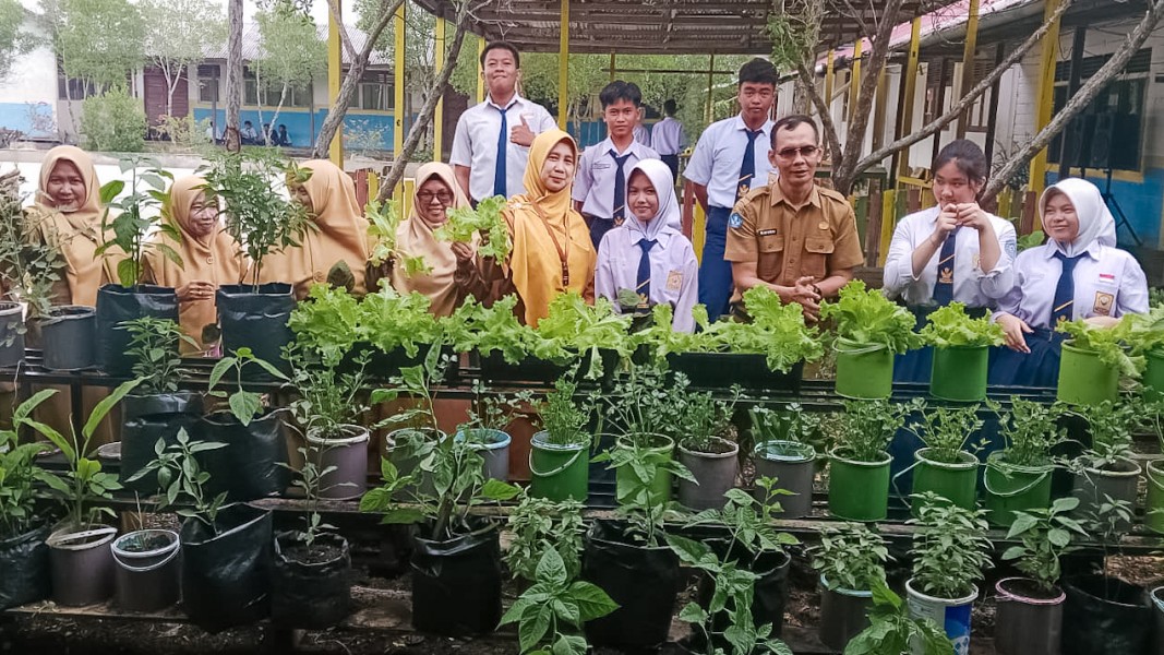 Bukti Keberhasilan Pembelajaran Berbasis Praktik, SMPN 1 Tanah Merah Panen Perdana Sayuran