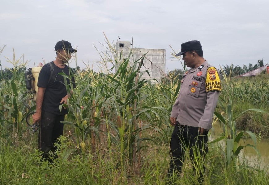 Sisa Lahan Kosong Disulap Produktif, Polsek Kuala Cenaku Ajak Warga Tanam Jagung Pipil