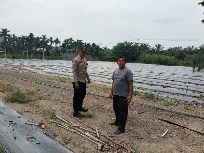 Polsek Tempuling Laksanakan Pengecekan Ketahanan Pangan Dukung Program Swasembada Pangan Polda Riau