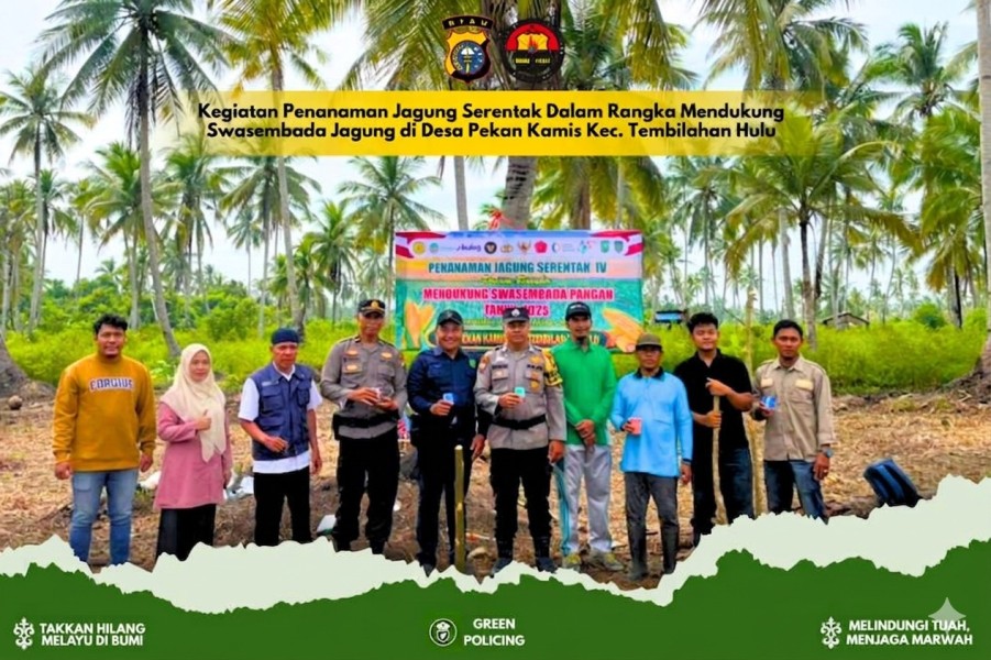 Polsek Tembilahan Hulu dan Warga Pulau Palas Tanam Jagung Serentak Dukung Swasembada Pangan