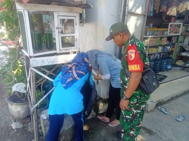 Koptu Yanuar Berantas Sarang Nyamuk di Desa Jombatan