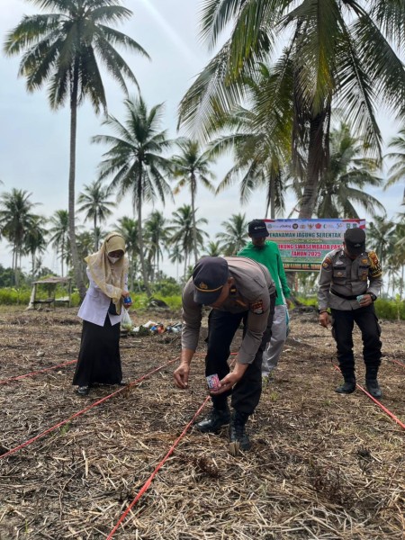 Swasembada Pangan, Polsek Tembilahan Hulu dan Masyarakat Kembali Tanam Jagung di Pulau Palas