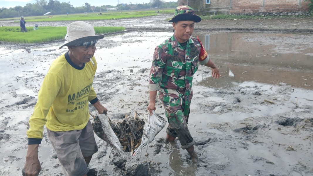 Serda Adi Bantu Petani Tembelang Tanam Padi