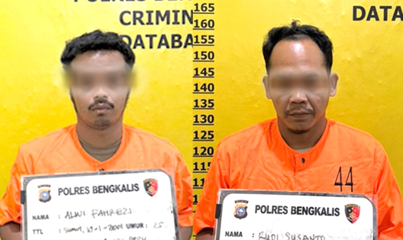 Polres Bengkalis Tangkap Dua Orang Terduga Pelaku Illegal Logging di Siak Kecil
