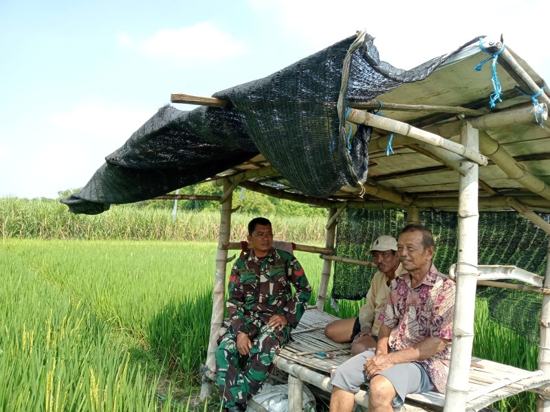 Koptu Dwi Susilo Jalin Keakraban dengan Petani