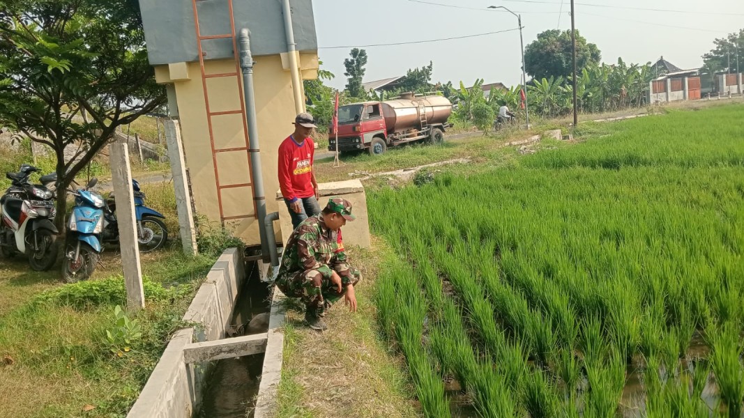 Serda Yon Firdaus Dampingi Petani Cek Pertumbuhan Tanaman Padi di Desa Tampingmojo