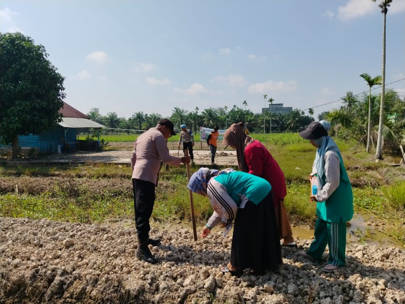 Polsek Kuala Cenaku Tanam Jagung Pipil di Lahan Fasilitas Desa Tanjung Sari