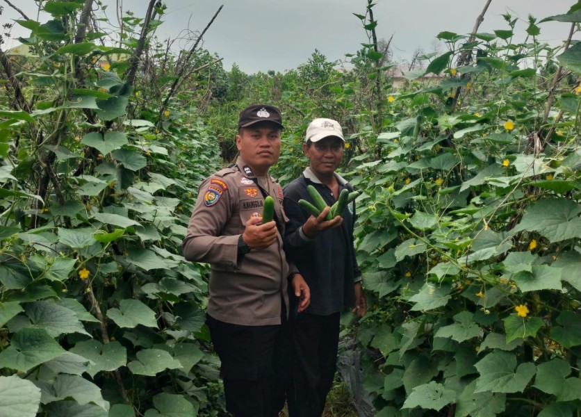 Lewat Sambang Desa, Polres Inhu Dorong Kemandirian Pangan Warga Lewat Tanam Sayur dan Budidaya Ikan