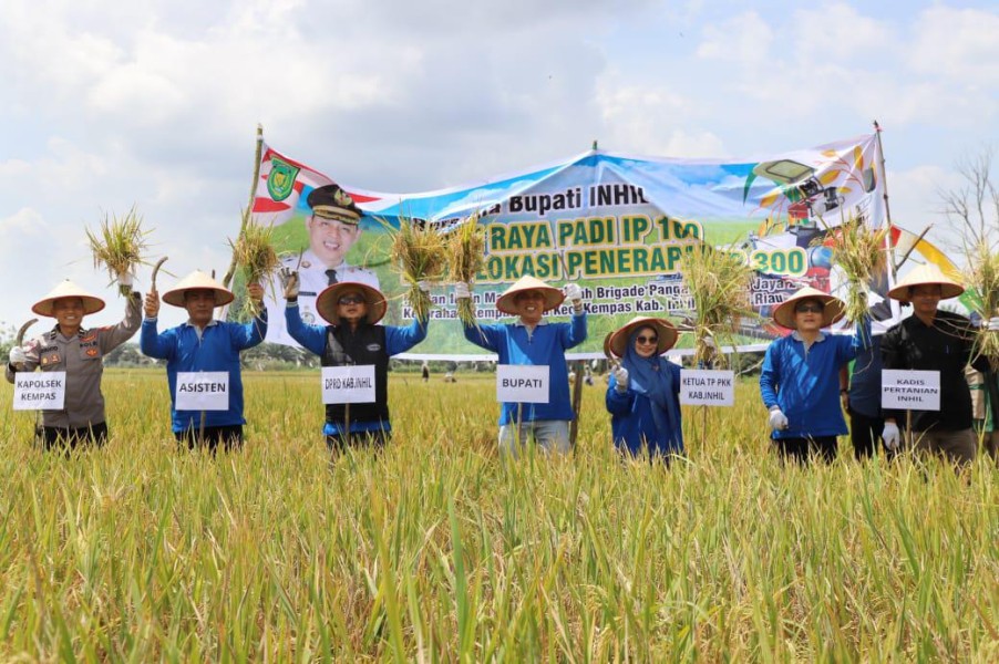 Panen Raya IP 300, Bupati Inhil Optimis Pertanian Kempas Terus Melaju