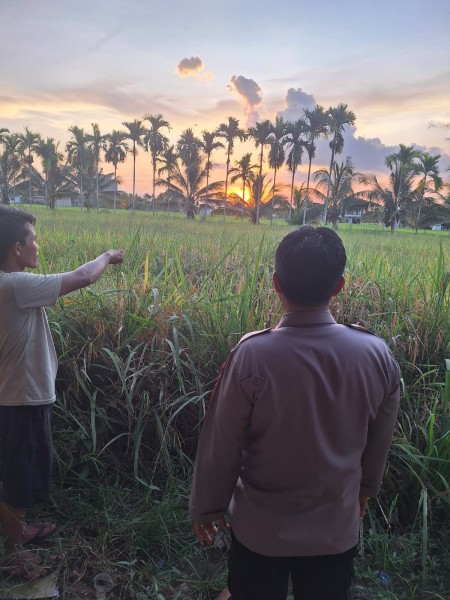 AKP Yosi Marlius: Polsek Keritang Monitoring Padi di Kotabaru Reteh untuk Ketahanan Pangan Keritang
