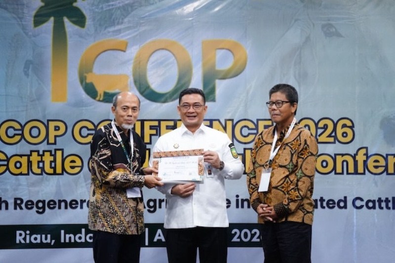 Sekdaprov Riau Ajak Dunia Lirik Potensi Integrasi Sawit dan Sapi