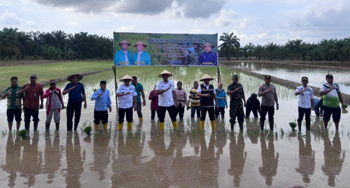 Dukung Ketahanan Pangan, Bupati Inhu Pimpin Penanaman Padi Bersama di Kuala Cenaku