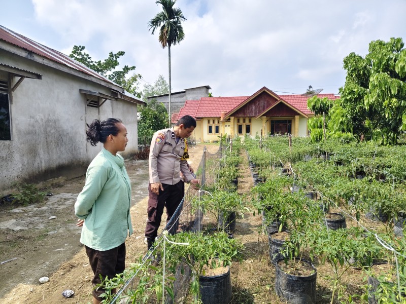 Polsek Tempuling Laksanakan Pengecekan Ketahanan Pangan, Dukung Program Swasembada Pangan Polda Riau