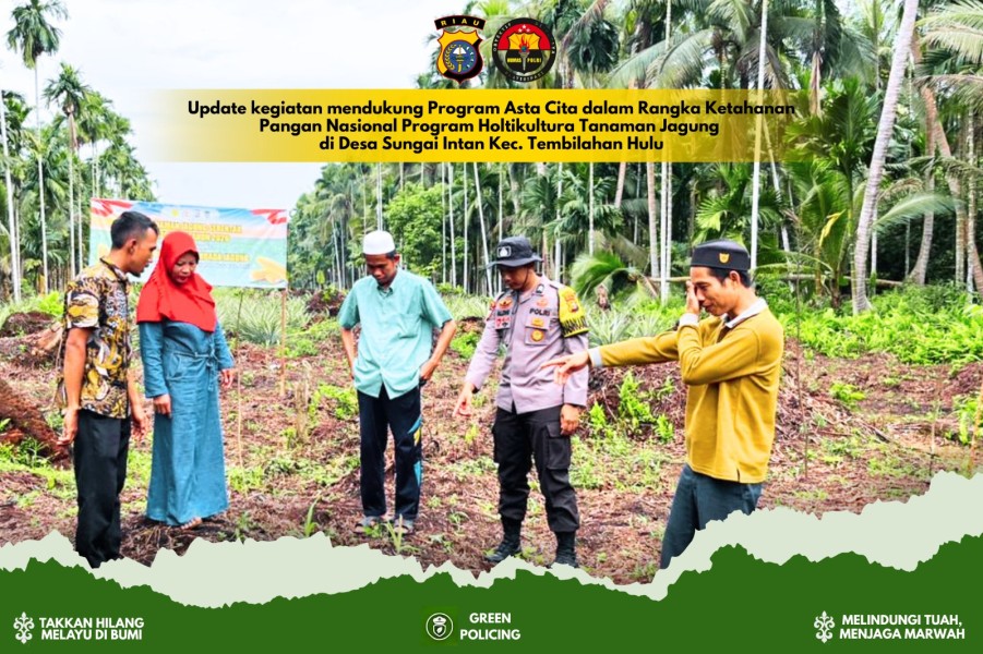 Bhabinkamtibmas Sungai Intan Hadir Dampingi Petani Jagung Wujudkan Ketahanan Pangan Desa