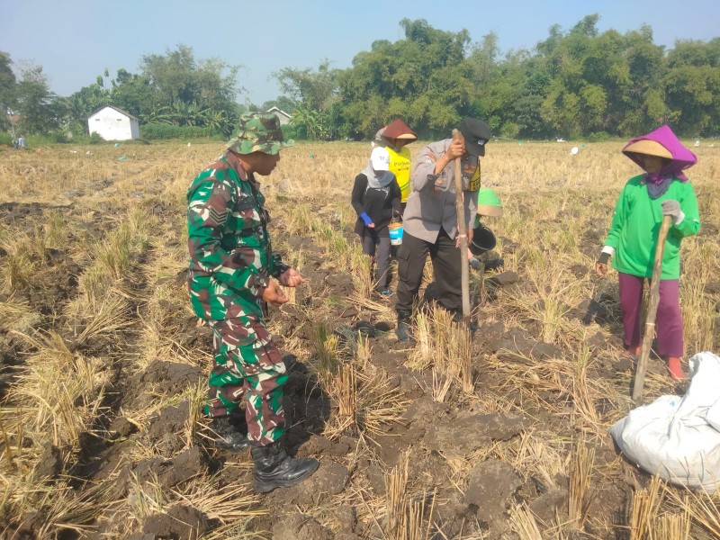 Babinsa Serka Suyanto Damping Petani Desa Keras